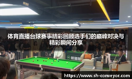体育直播台球赛事精彩回顾选手们的巅峰对决与精彩瞬间分享