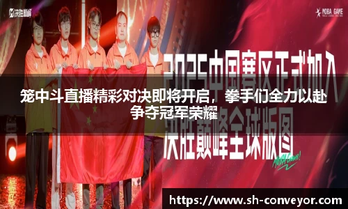 笼中斗直播精彩对决即将开启，拳手们全力以赴争夺冠军荣耀