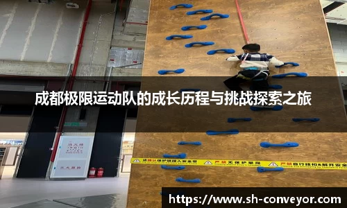 B体育官网