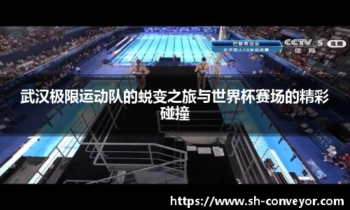 必一·体育(B-Sports)