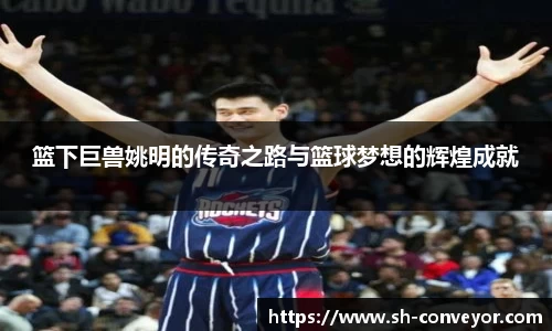 必一·体育(B-Sports)