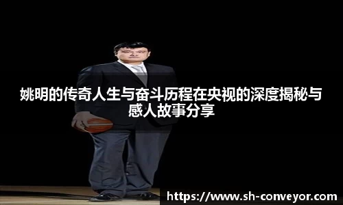 B体育官网