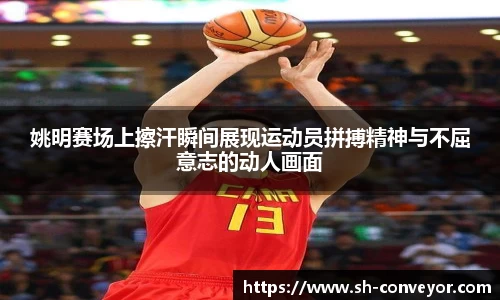 必一·体育(B-Sports)