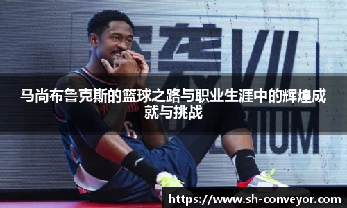 必一·体育(B-Sports)