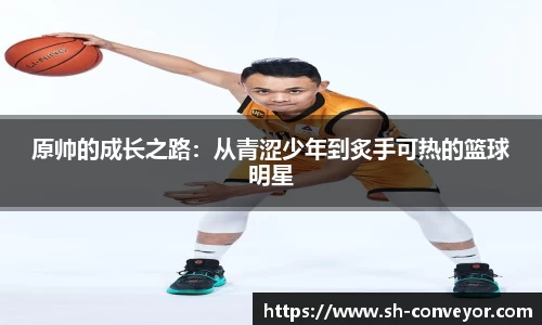 bsports必一体育