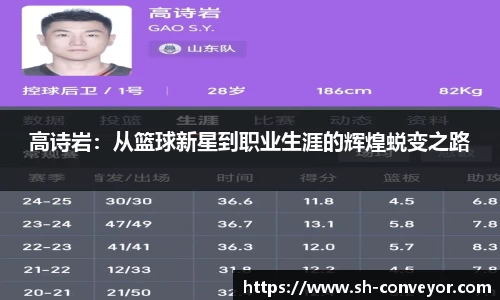 B体育官网